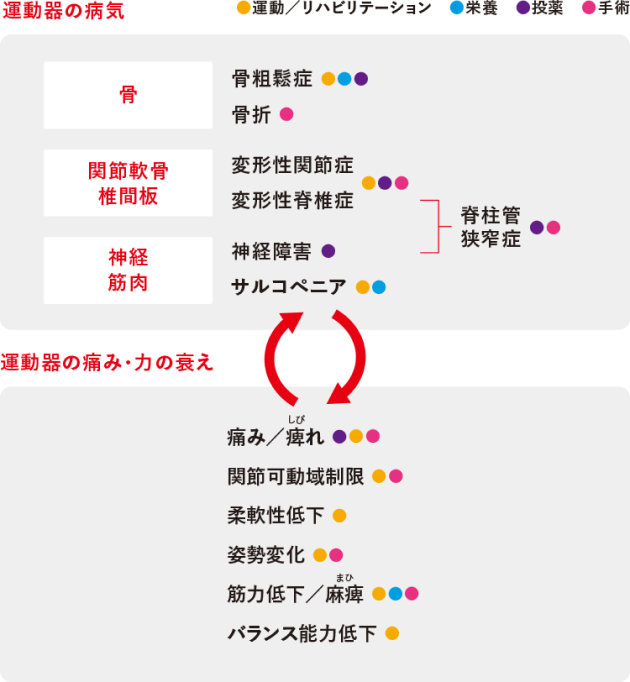 ロコモを知ろう | ロコモONLINE | 日本整形外科学会公式