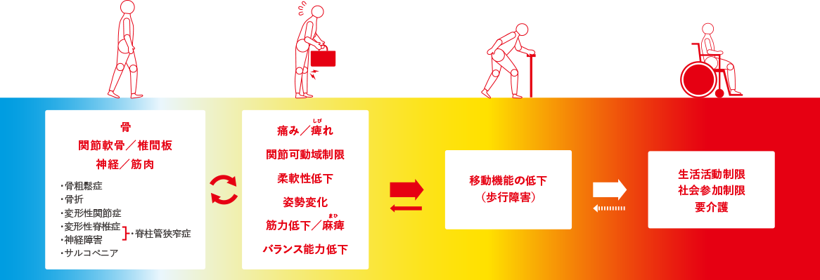 ロコモを知ろう | ロコモONLINE | 日本整形外科学会公式