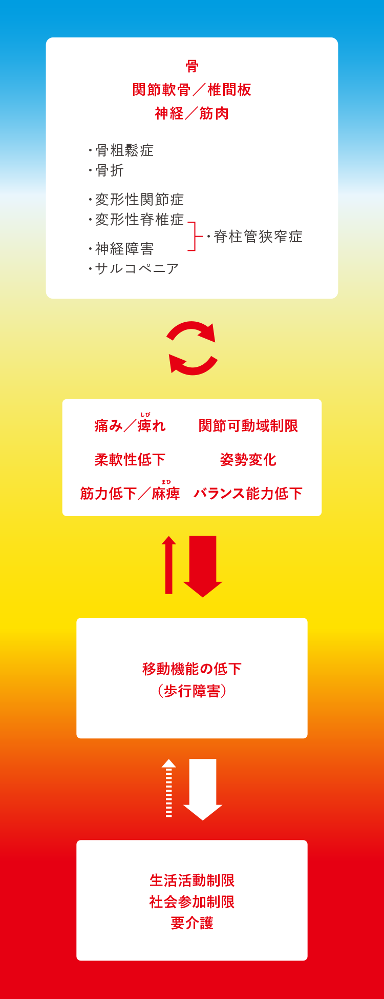 ロコモティブシンドローム ロコモを知ろう | ロコモONLINE | 日本整形外科学会公式