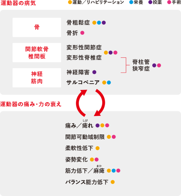 ロコモティブシンドローム ロコモティブシンドローム（ロコモ）｜公益社団法人 日本整形